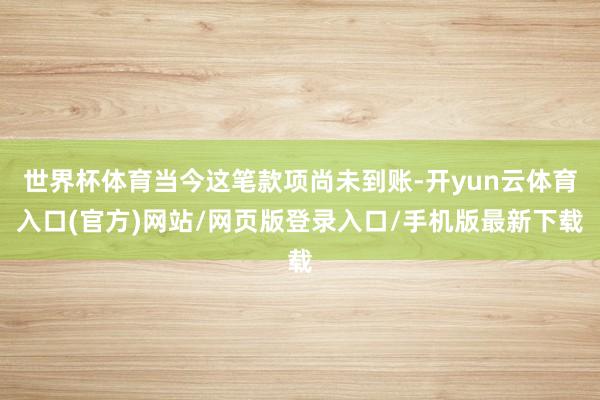 世界杯体育当今这笔款项尚未到账-开yun云体育入口(官方)网站/网页版登录入口/手机版最新下载