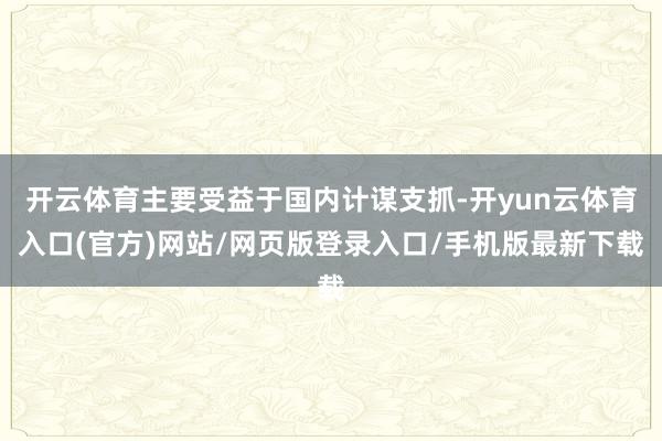 开云体育主要受益于国内计谋支抓-开yun云体育入口(官方)网站/网页版登录入口/手机版最新下载