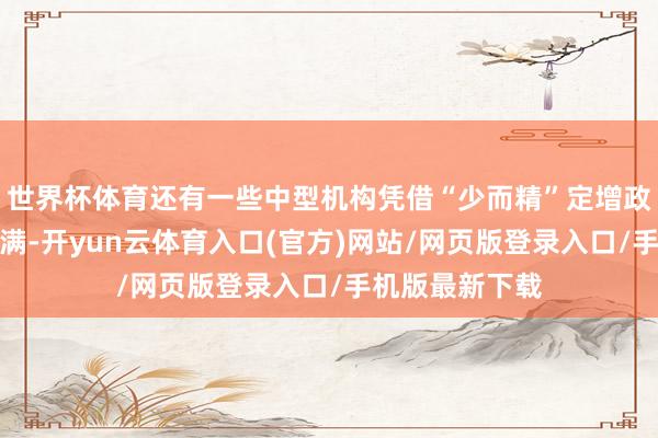 世界杯体育还有一些中型机构凭借“少而精”定增政策赚得盆满钵满-开yun云体育入口(官方)网站/网页版登录入口/手机版最新下载