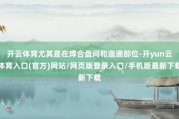 开云体育尤其是在焊合盘问和迤逦部位-开yun云体育入口(官方)网站/网页版登录入口/手机版最新下载