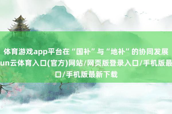 体育游戏app平台在“国补”与“地补”的协同发展中-开yun云体育入口(官方)网站/网页版登录入口/手机版最新下载
